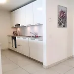 Residenza Vivian Deluxe ロカルノ