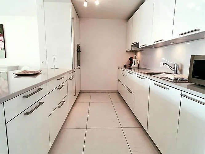 公寓 Residenza Vivian Deluxe 洛迦诺