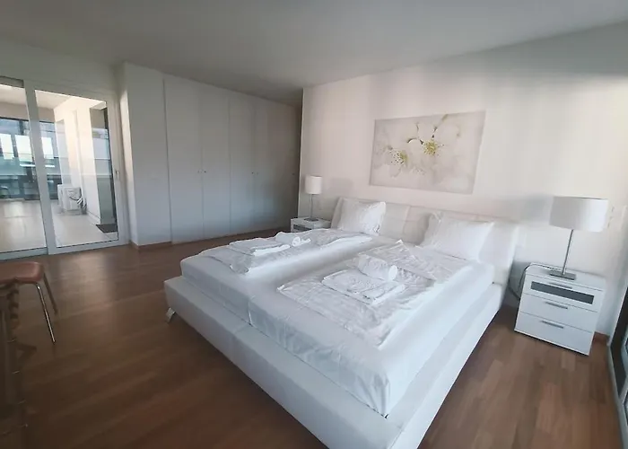 公寓 Residenza Vivian Deluxe 洛迦诺